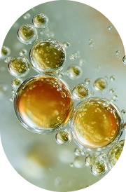 VITAMIN B1 (THIAMINE HCL)